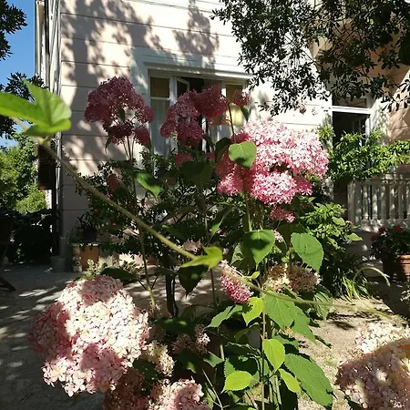 La Fonte Готель