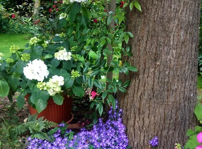 La Fonte מלון מרינה די פיאטרסנטה