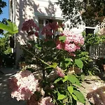 La Fonte Hotel