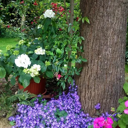 La Fonte Hotel Marina di Pietrasanta